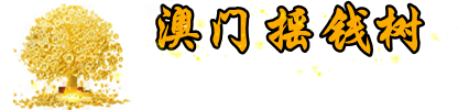 澳门新新彩